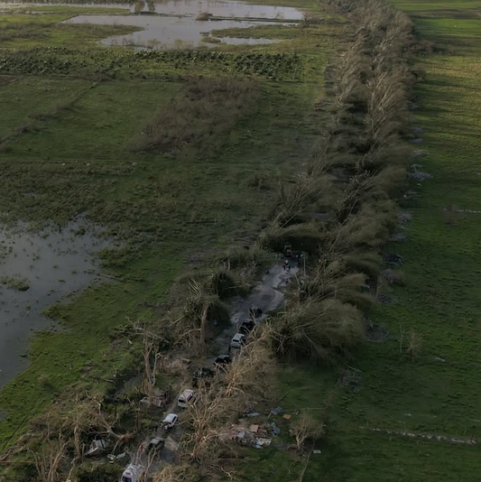 Good Seeds (Hurricane Melissa Relief Aid)